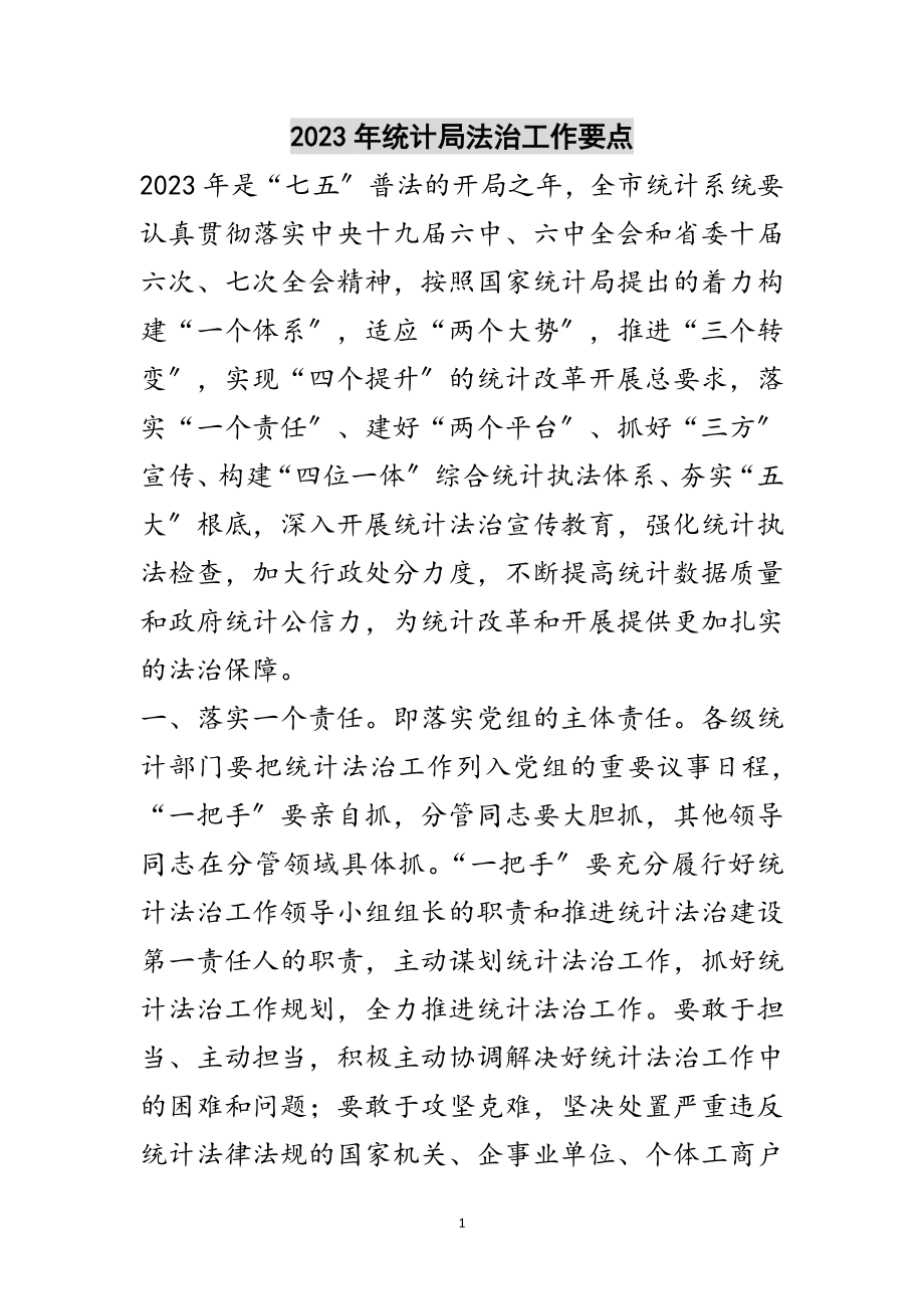 2023年年统计局法治工作要点范文.doc_第1页