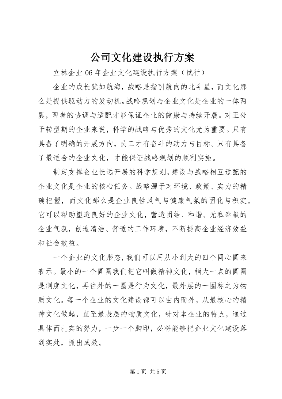 2023年公司文化建设执行方案.docx_第1页