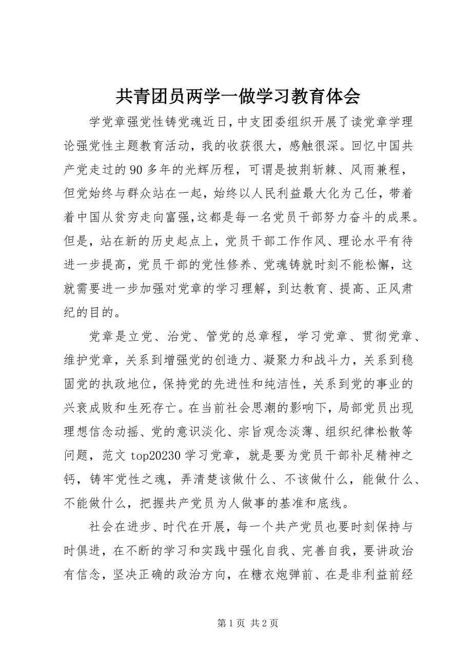 2023年共青团员两学一做学习教育体会.docx_第1页