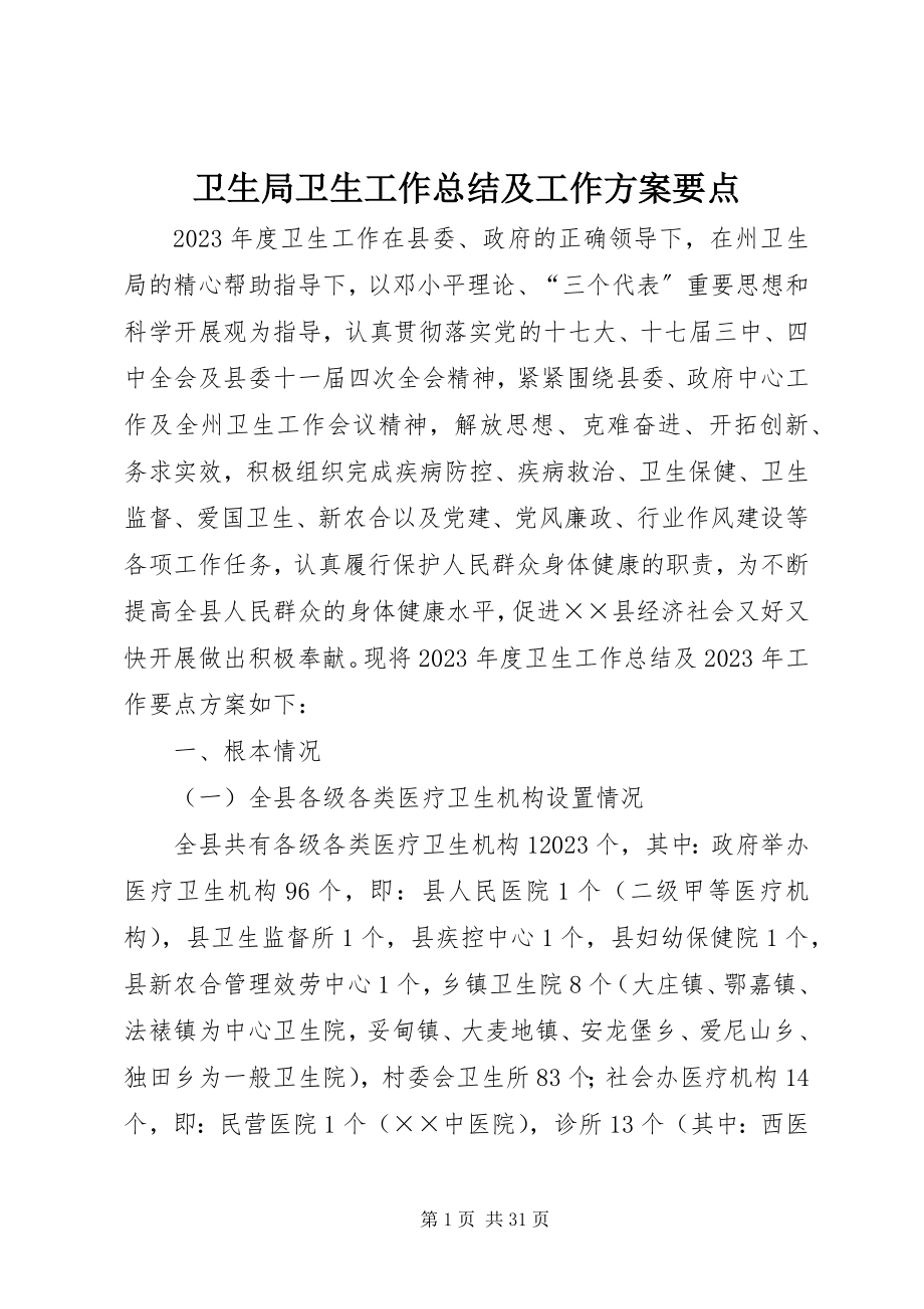 2023年卫生局卫生工作总结及工作计划要点.docx_第1页