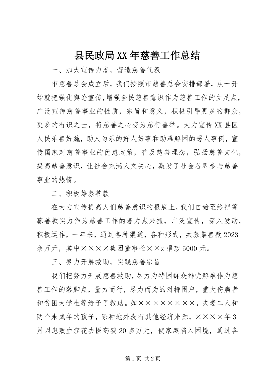 2023年县民政局慈善工作总结2.docx_第1页