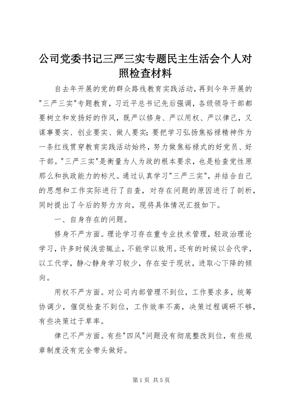 2023年公司党委书记三严三实专题民主生活会个人对照检查材料.docx_第1页