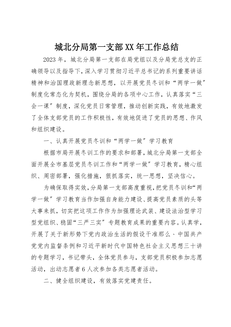 2023年城北分局第一支部某年工作总结.docx_第1页