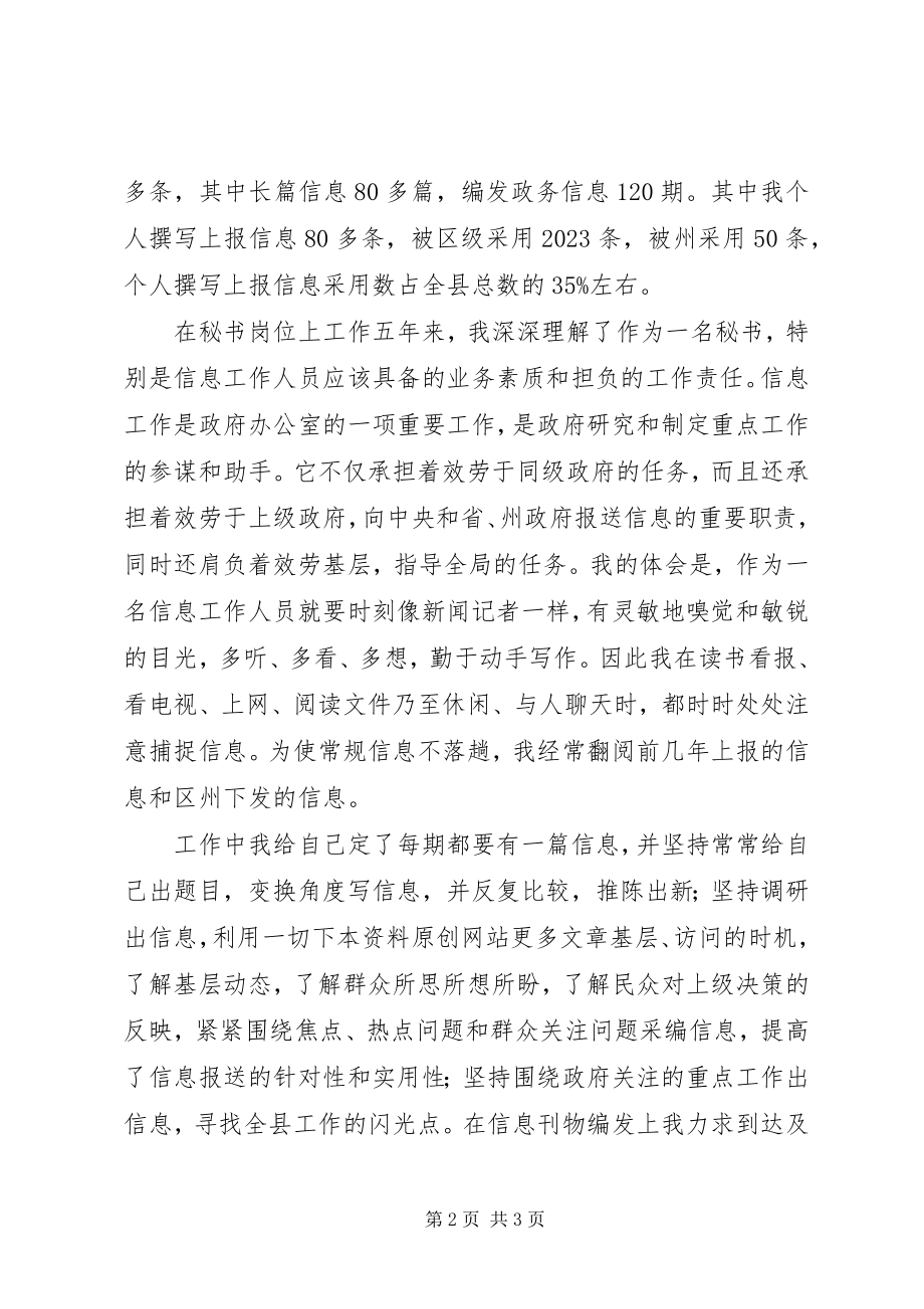 2023年政务信息的个人工作总结.docx_第2页