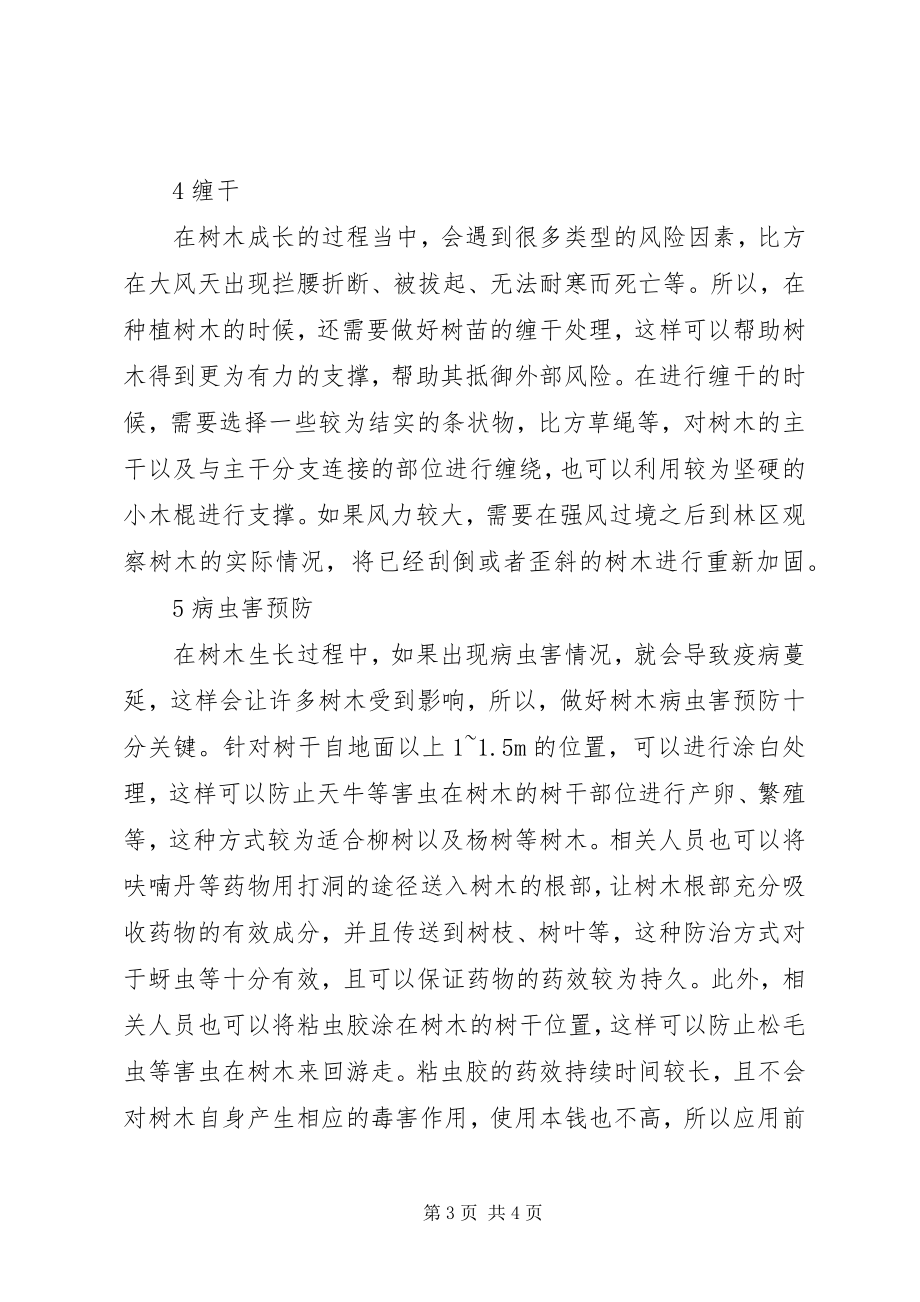 2023年林业树木栽培技术及要点.docx_第3页