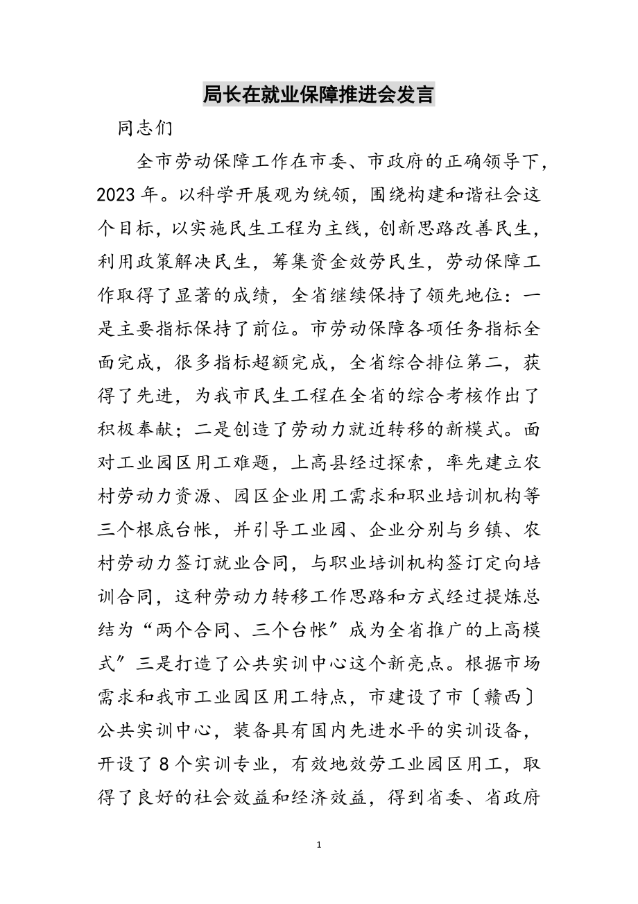 2023年局长在就业保障推进会发言范文.doc_第1页