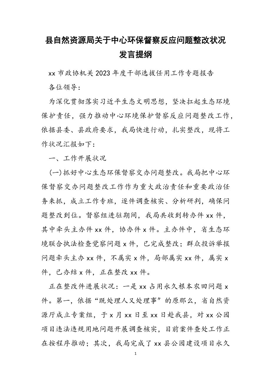 2023年县自然资源局中央环保督察反馈问题整改情况发言提纲.doc_第1页