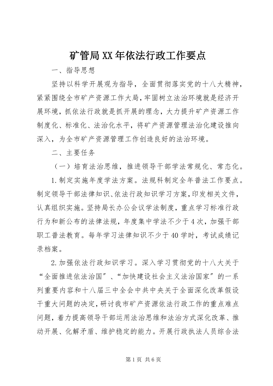 2023年矿管局依法行政工作要点.docx_第1页