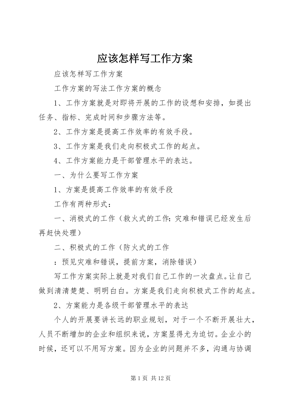 2023年应该怎样写工作计划.docx_第1页