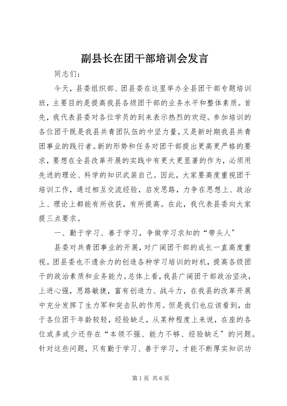 2023年副县长在团干部培训会讲话.docx_第1页