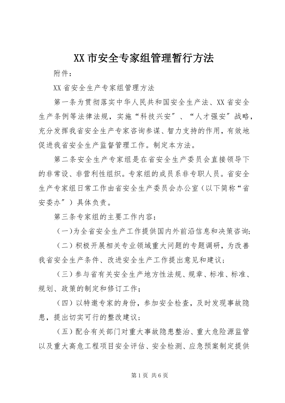 2023年XX市安全专家组管理暂行办法.docx_第1页