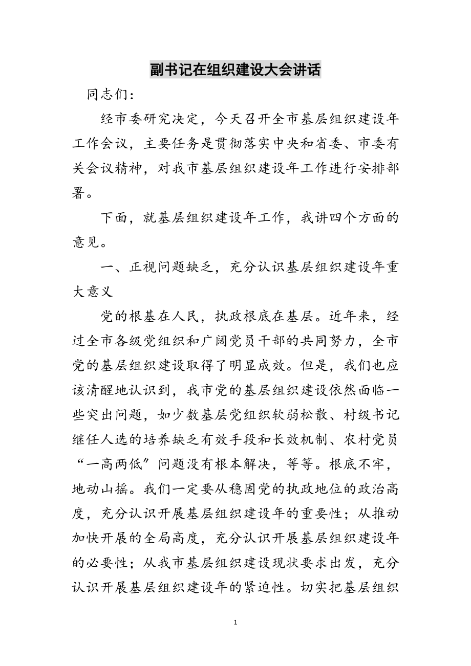 2023年副书记在组织建设大会讲话范文.doc_第1页