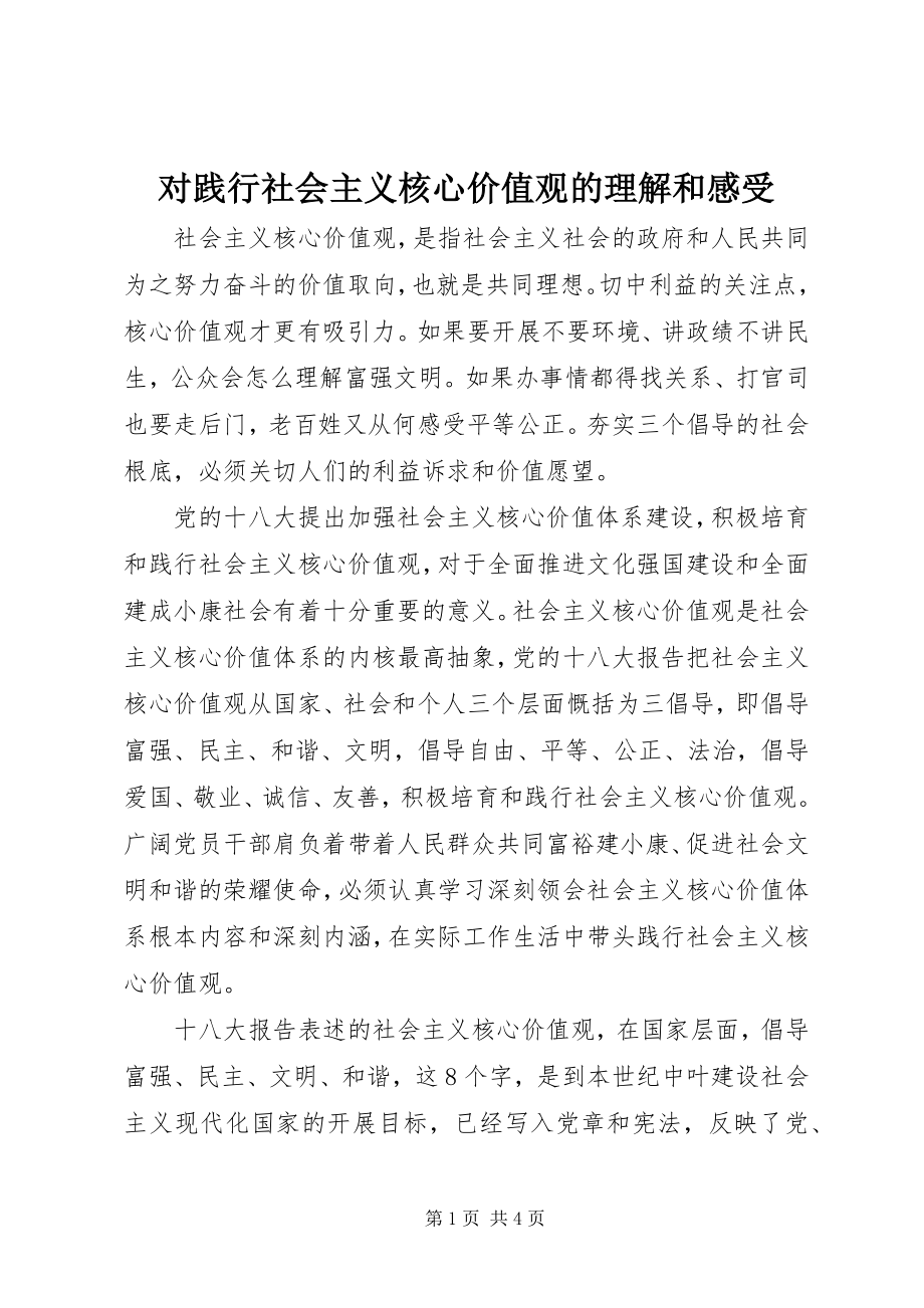 2023年对践行社会主义核心价值观的理解和感受.docx_第1页