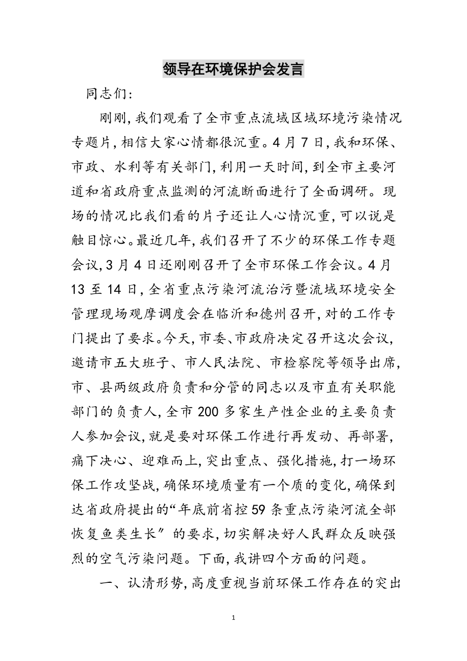 2023年领导在环境保护会发言范文.doc_第1页