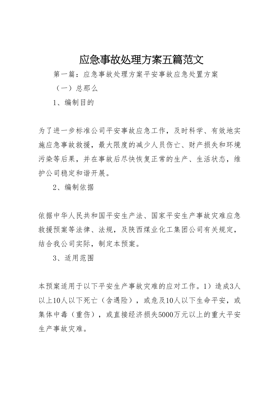 2023年应急事故处理方案五篇范文.doc_第1页