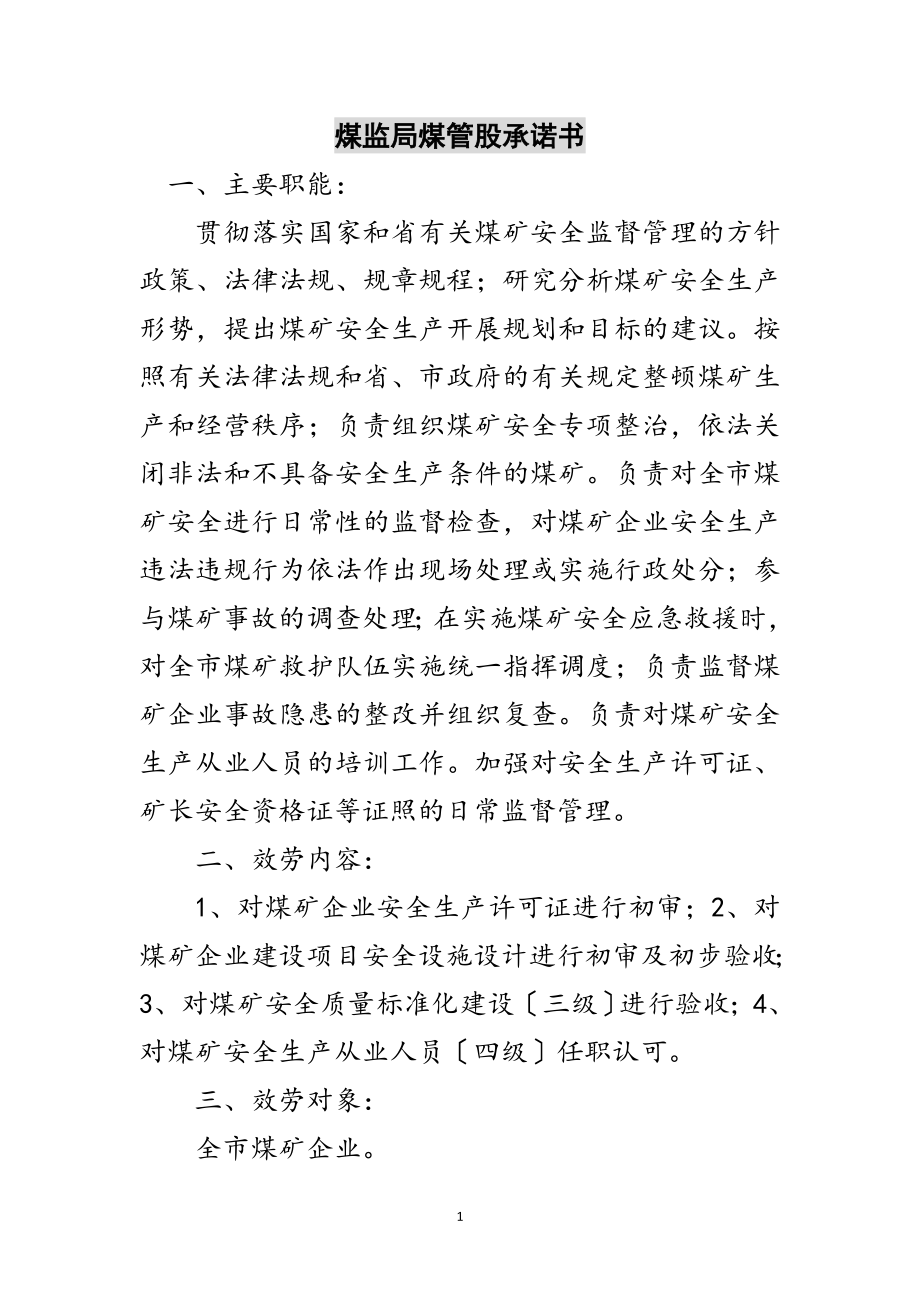 2023年煤监局煤管股承诺书范文.doc_第1页