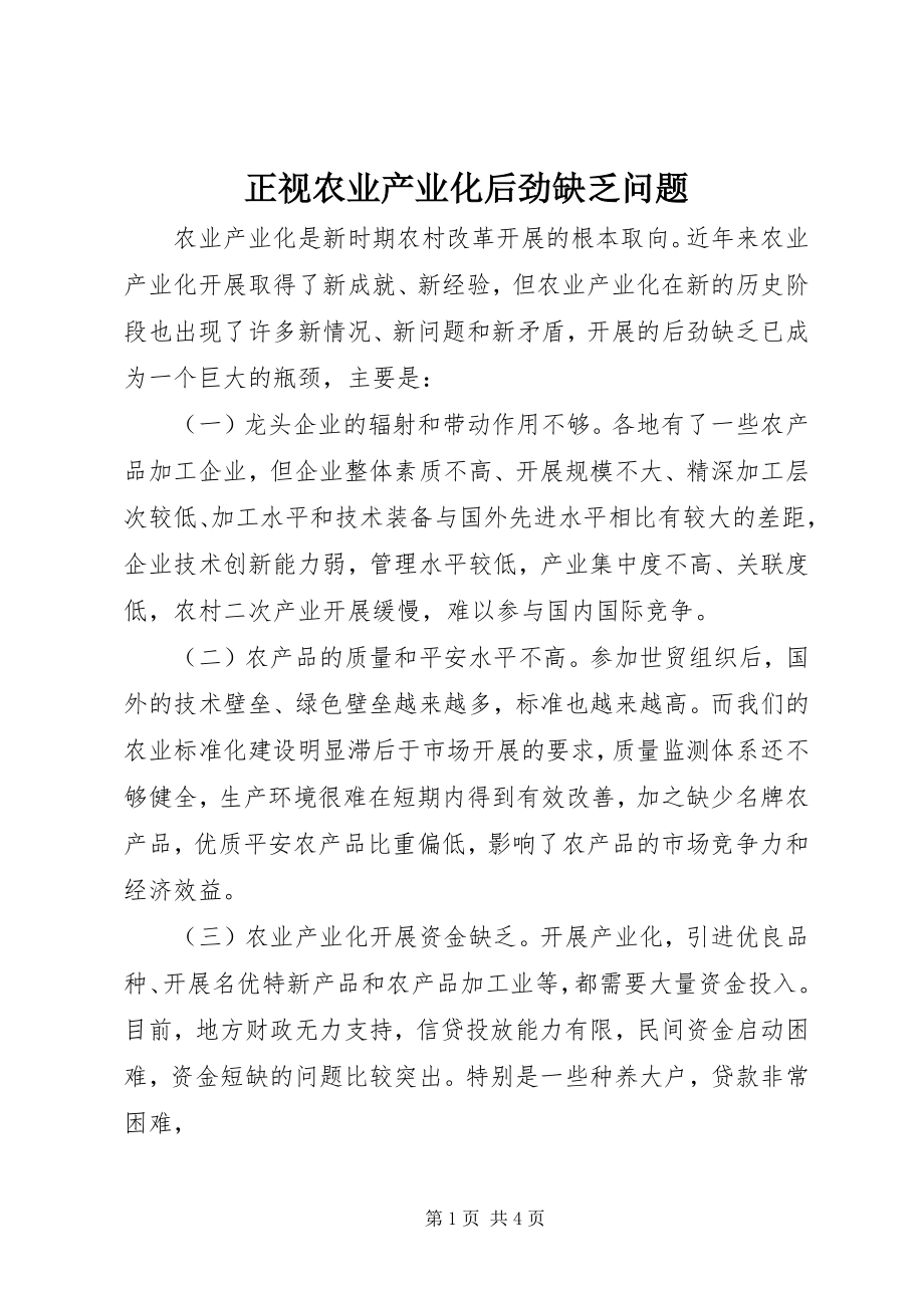 2023年正视农业产业化后劲不足问题.docx_第1页