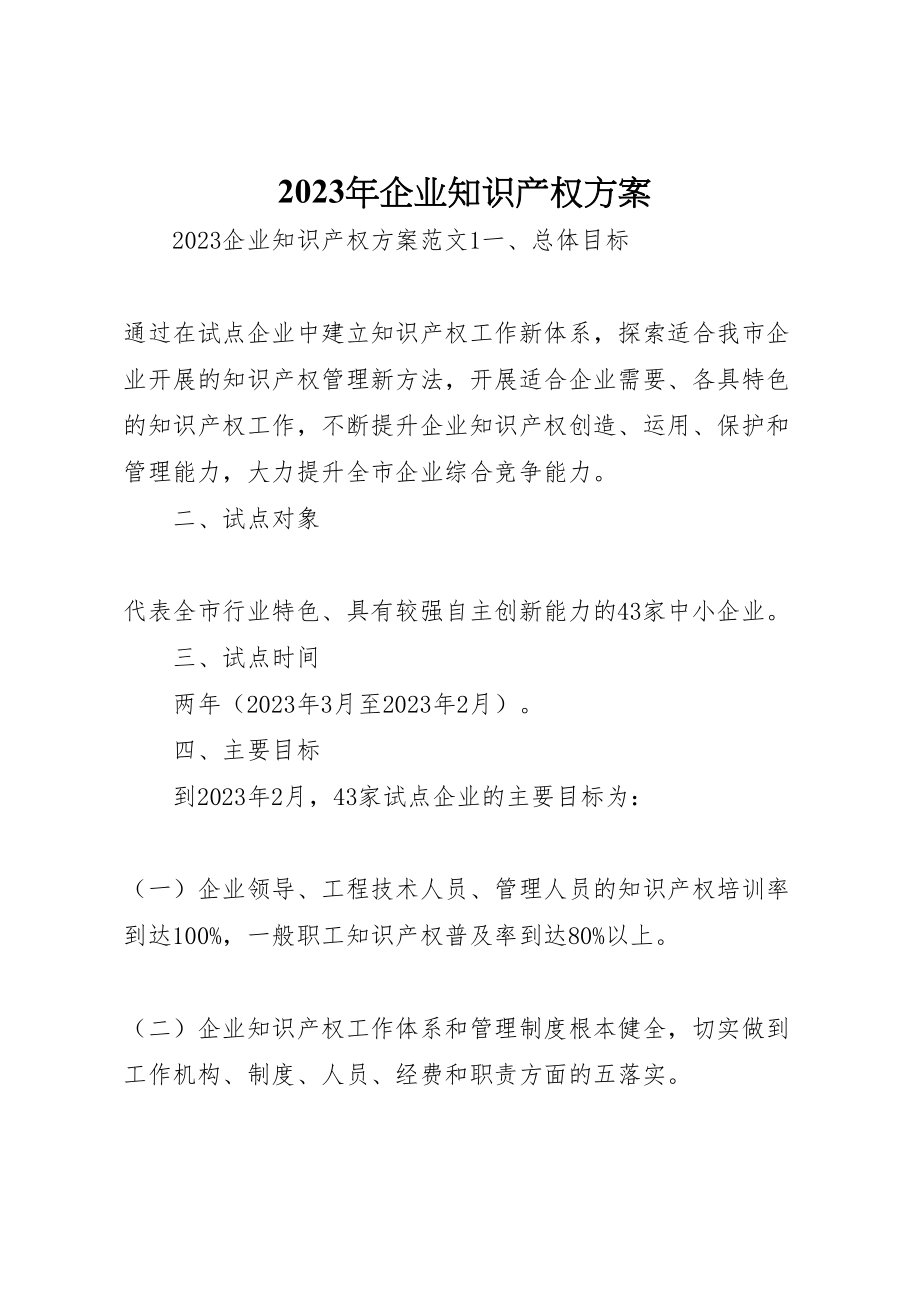 2023年企业知识产权方案新编.doc_第1页