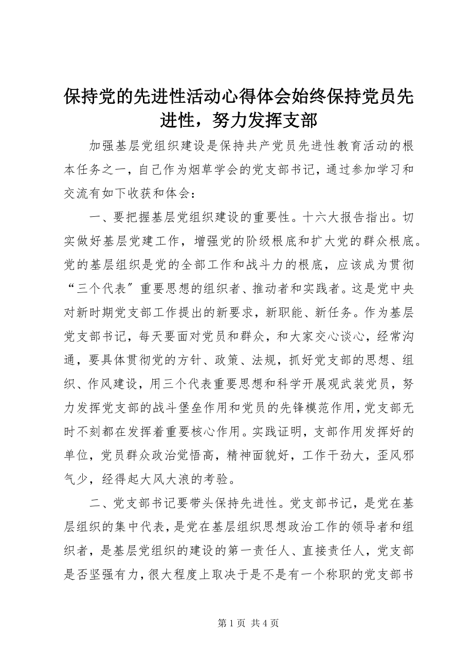 2023年保持党的先进性活动心得体会始终保持党员先进性努力发挥支部新编.docx_第1页