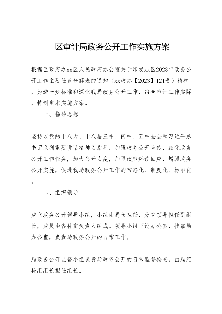 2023年区审计局政务公开工作实施方案.doc_第1页