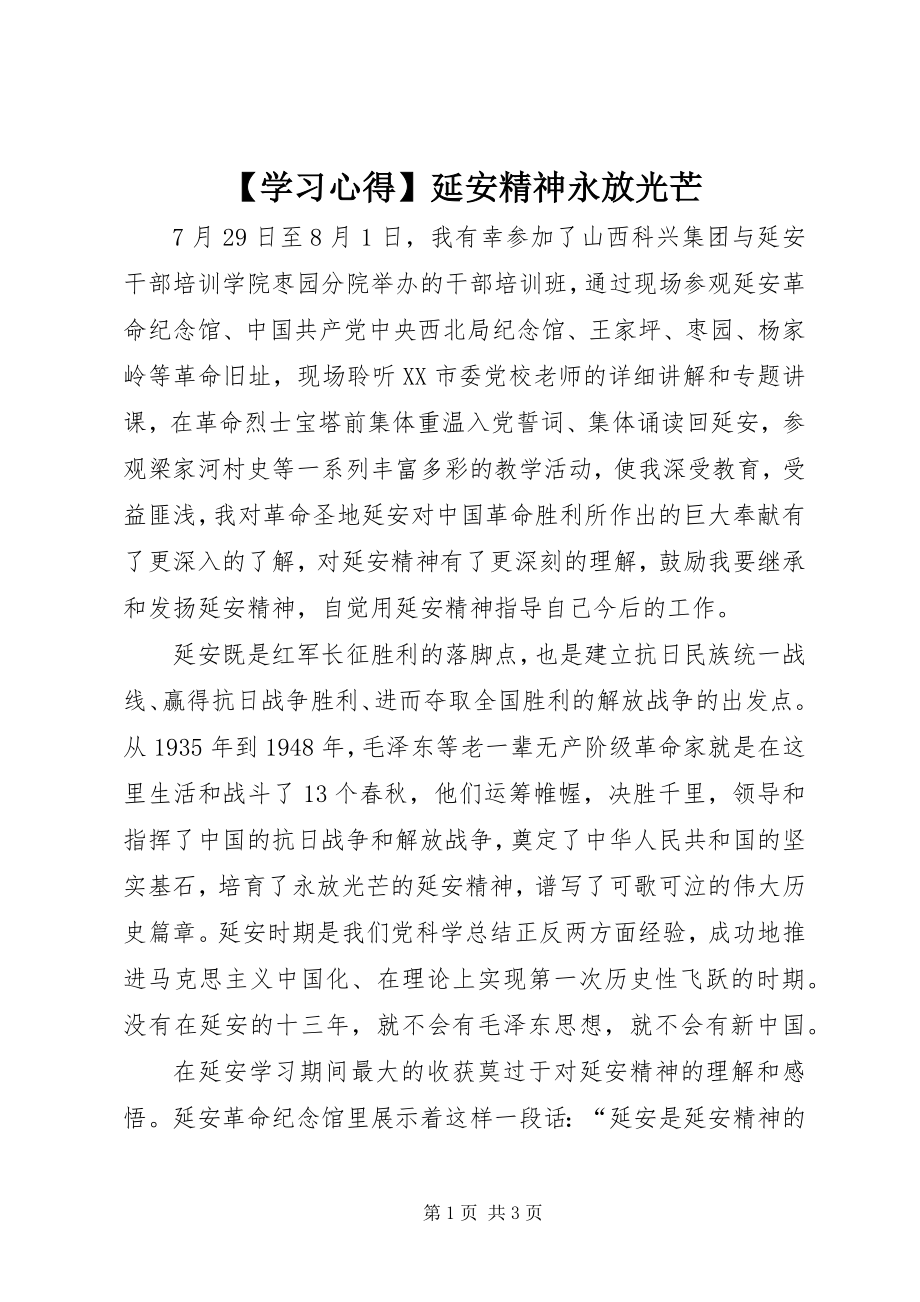 2023年学习心得延安精神永放光芒.docx_第1页