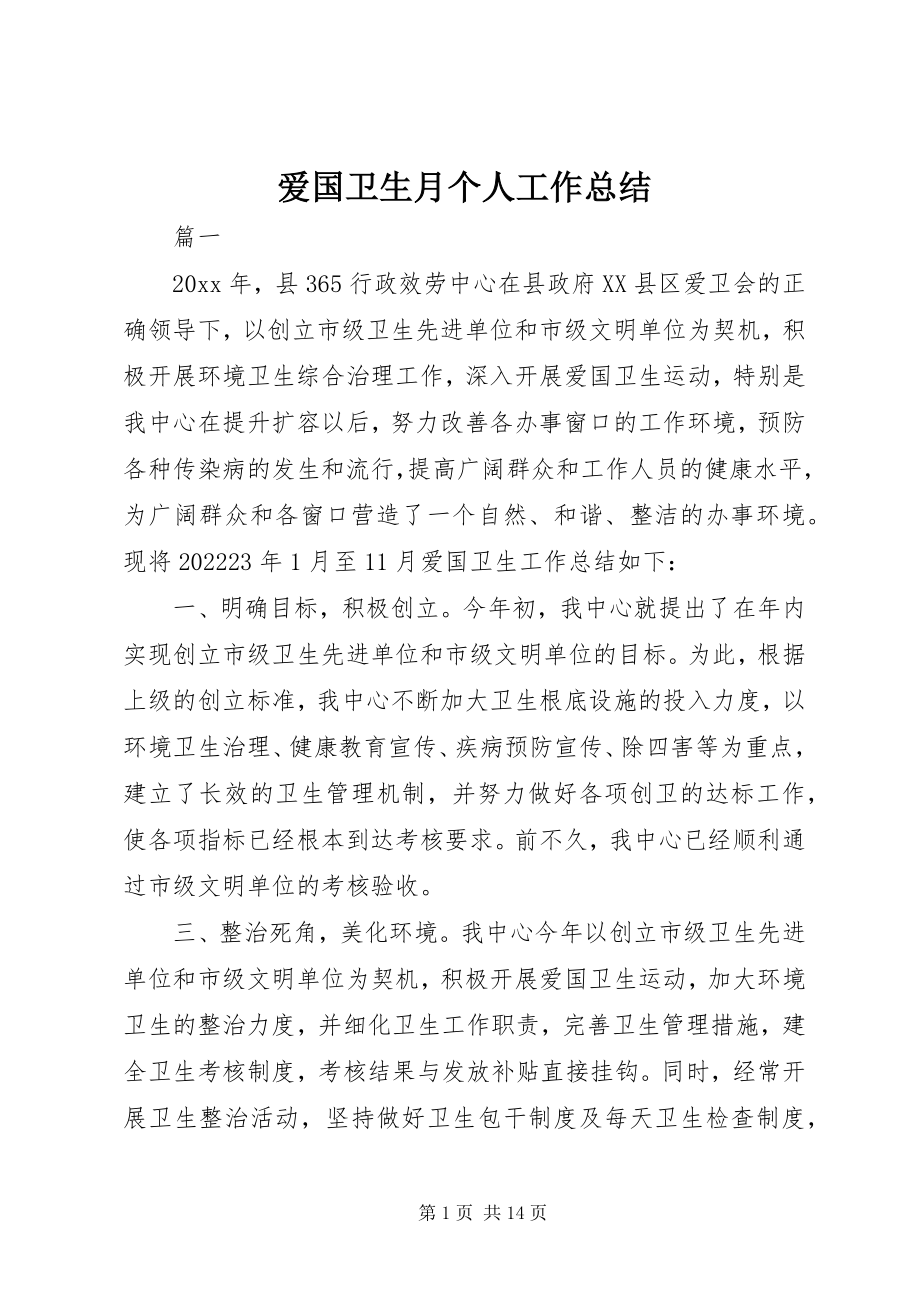 2023年爱国卫生月个人工作总结新编.docx_第1页