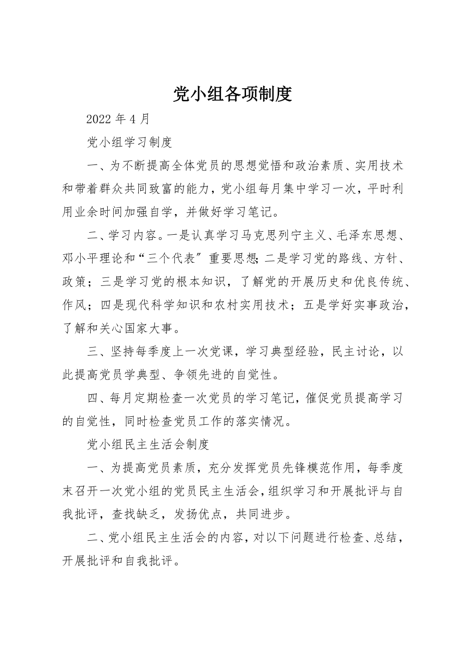 2023年党小组各项制度.docx_第1页