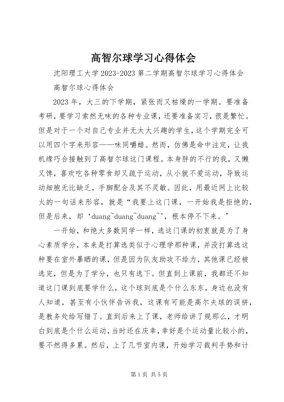 2023年高智尔球学习心得体会.docx_第1页