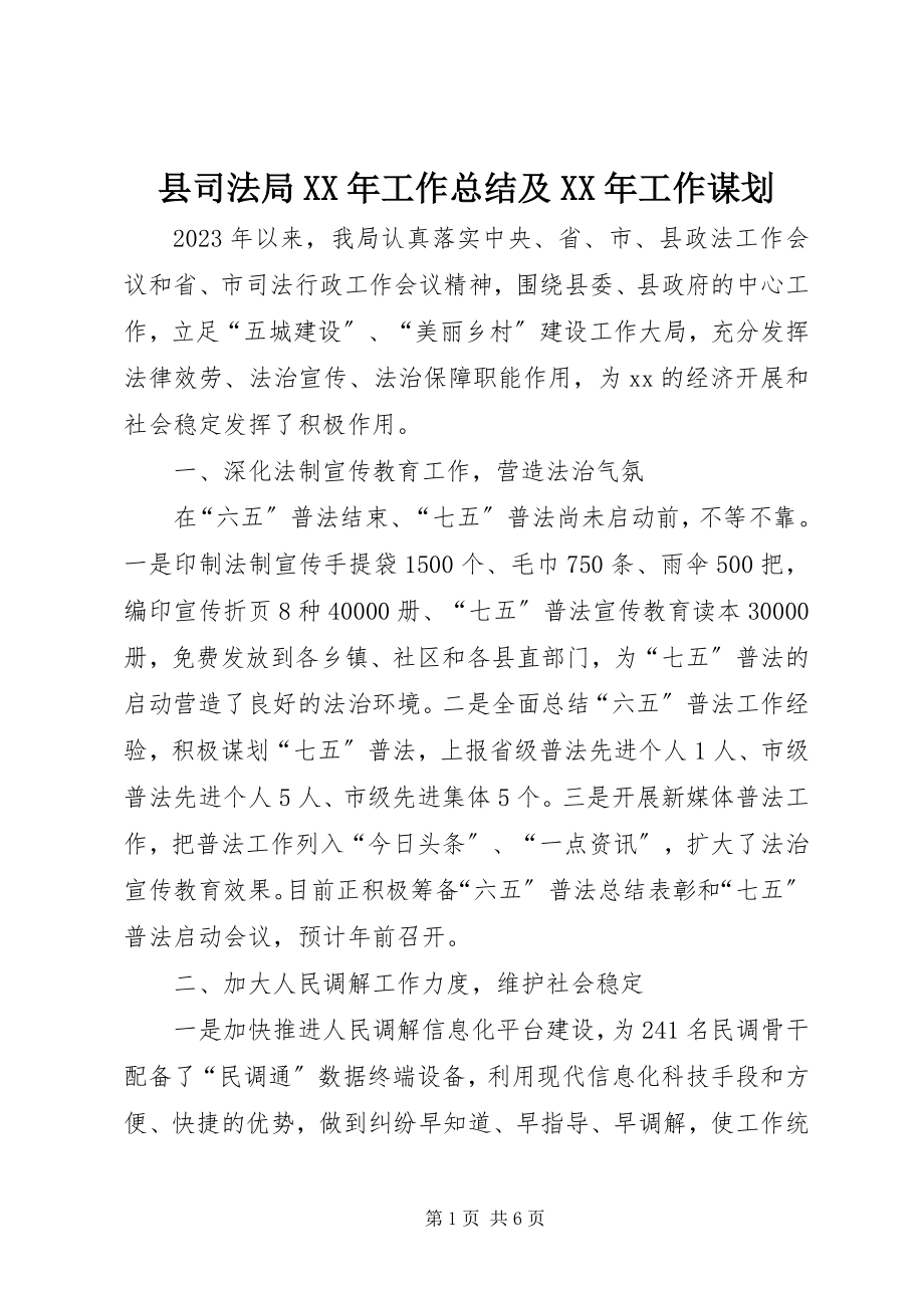 2023年县司法局工作总结及工作谋划.docx_第1页