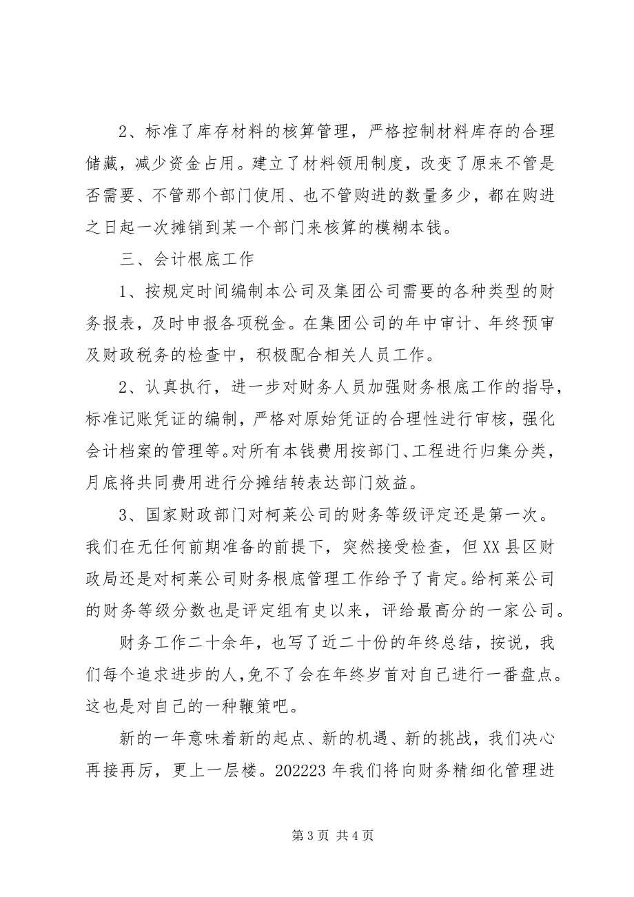 2023年公司财务部职员年终总结.docx_第3页