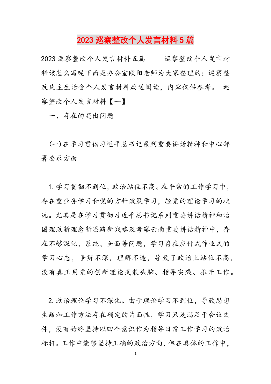 2023巡视整改个人发言材料5篇.docx_第1页