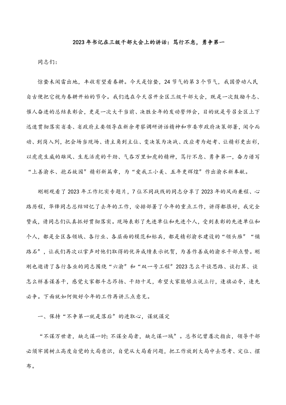 2023年书记在三级干部大会上的讲话：笃行不怠勇争第一.docx_第1页