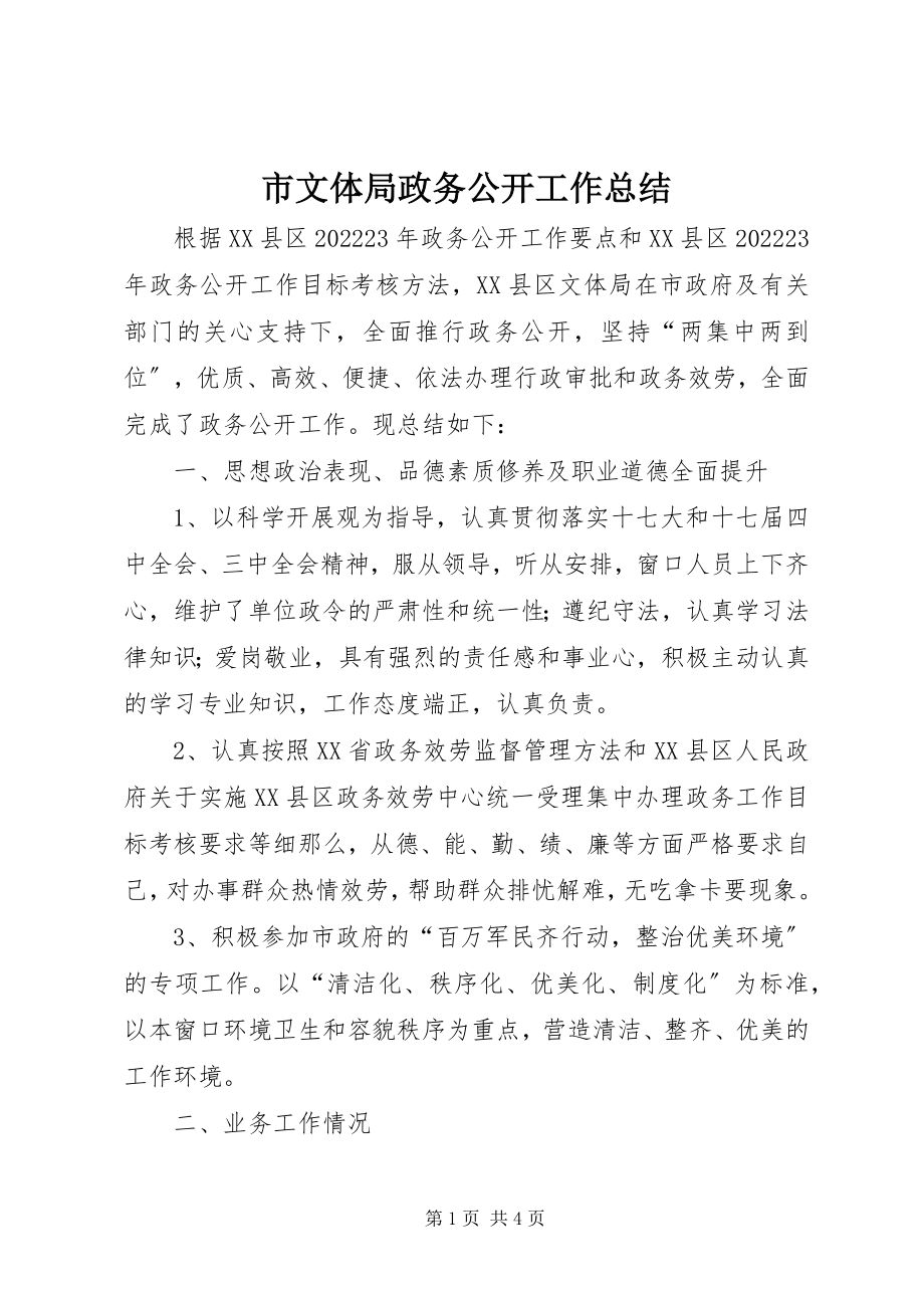 2023年市文体局政务公开工作总结.docx_第1页