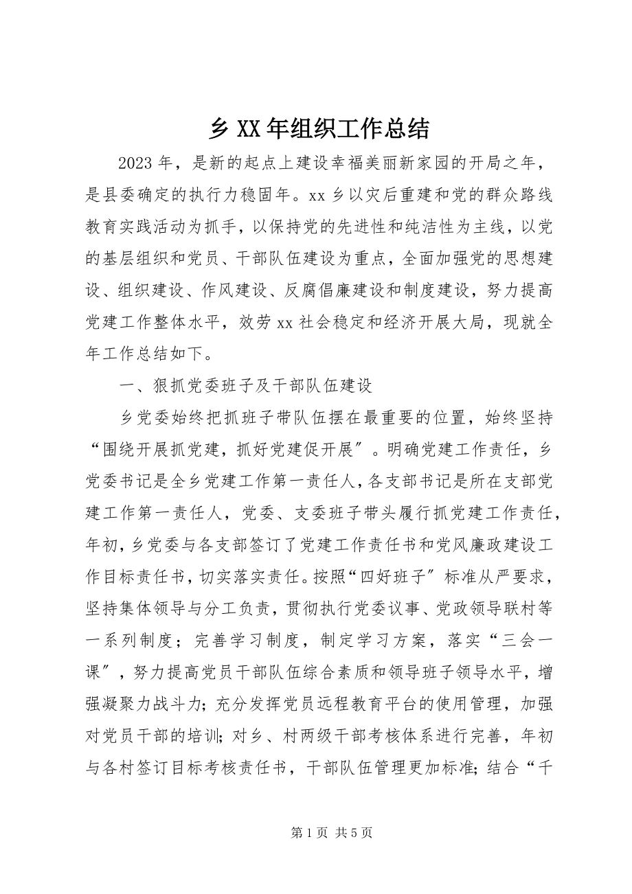 2023年乡组织工作总结2.docx_第1页