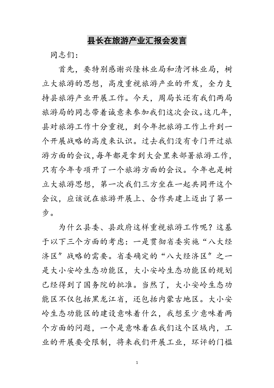 2023年县长在旅游产业汇报会发言范文.doc_第1页