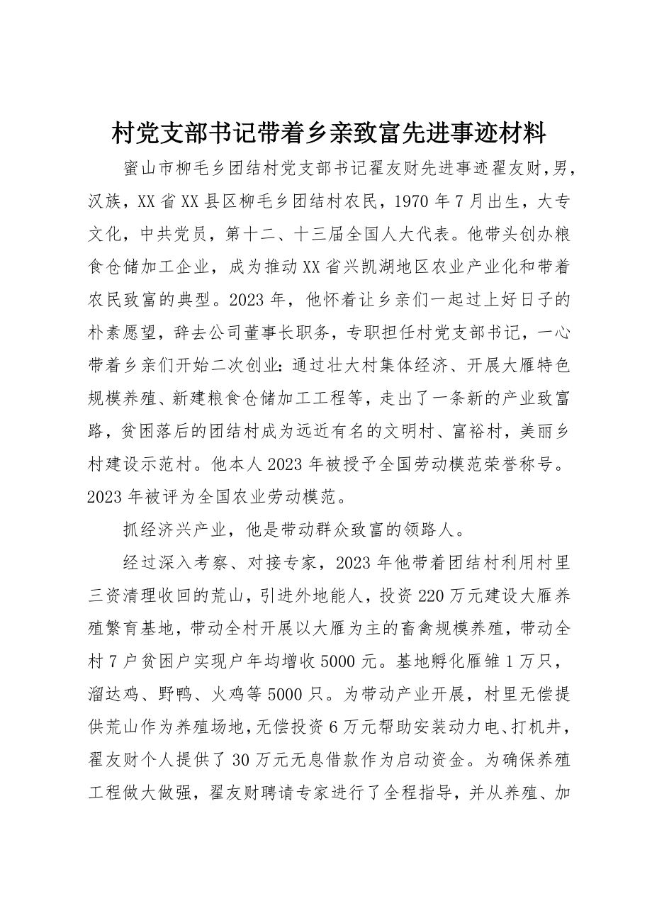 2023年村党支部书记带领乡亲致富先进事迹材料新编.docx_第1页