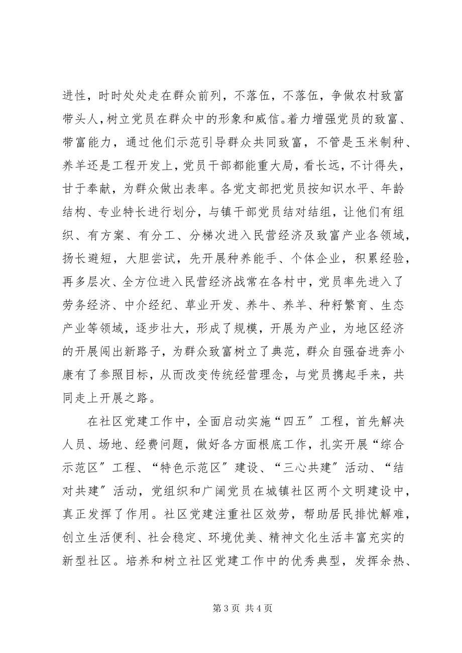 2023年X镇年度组织工作总结年终总结新编.docx_第3页