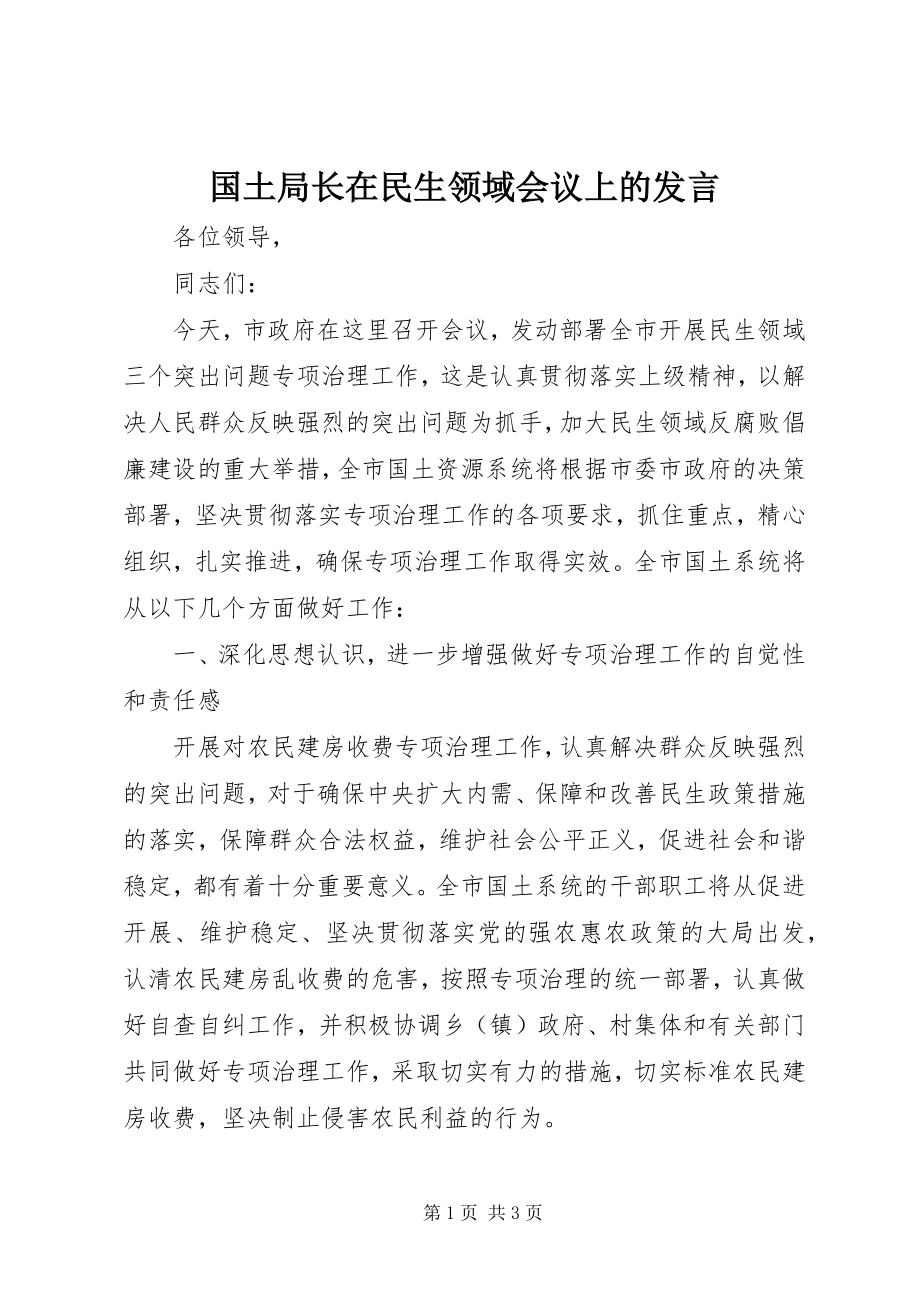 2023年国土局长在民生领域会议上的讲话.docx_第1页