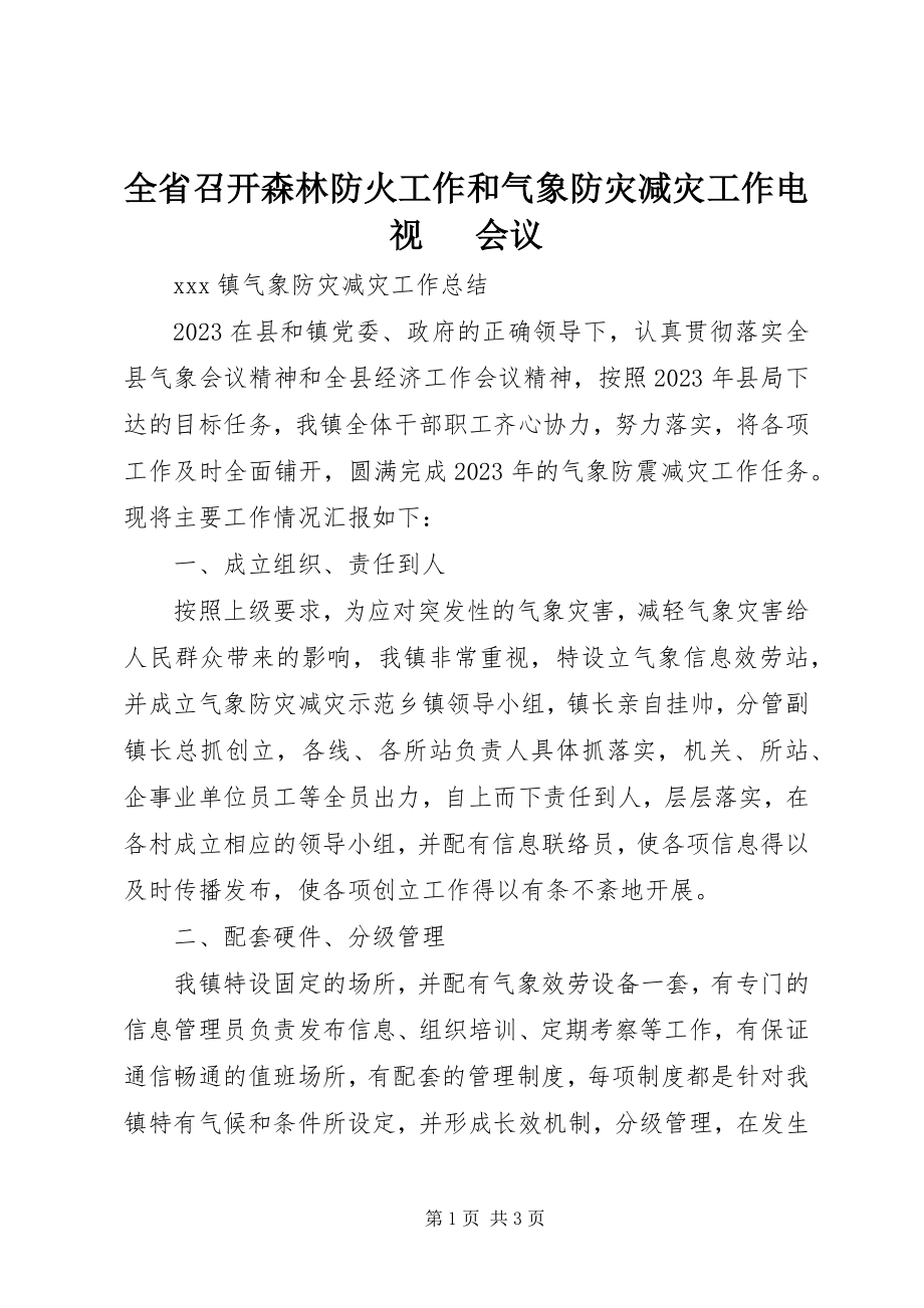 2023年全省召开森林防火工作和气象防灾减灾工作电视电话会议.docx_第1页