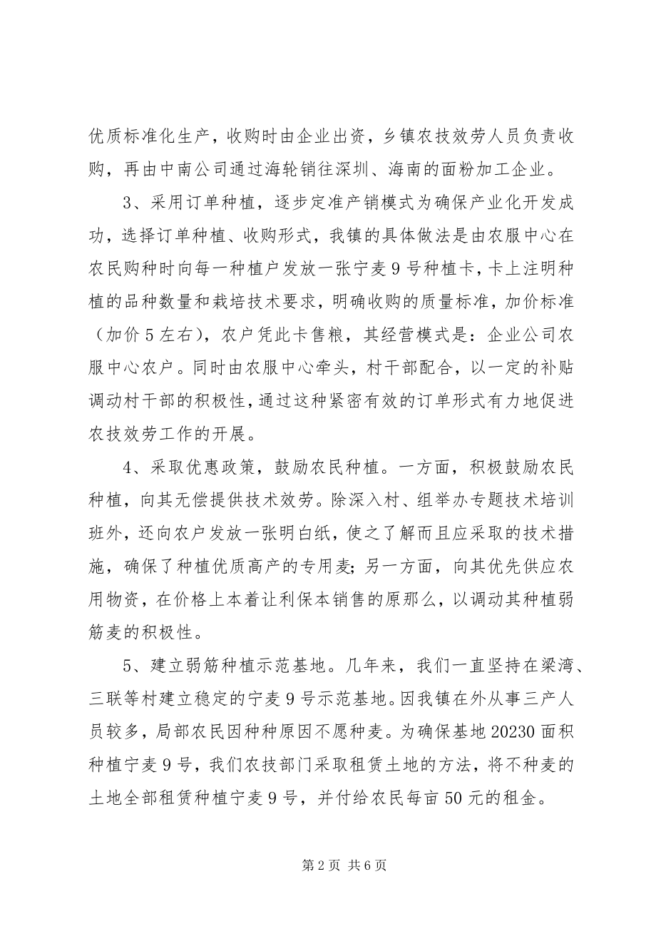 2023年发展弱筋麦产业促进农业增收增效.docx_第2页