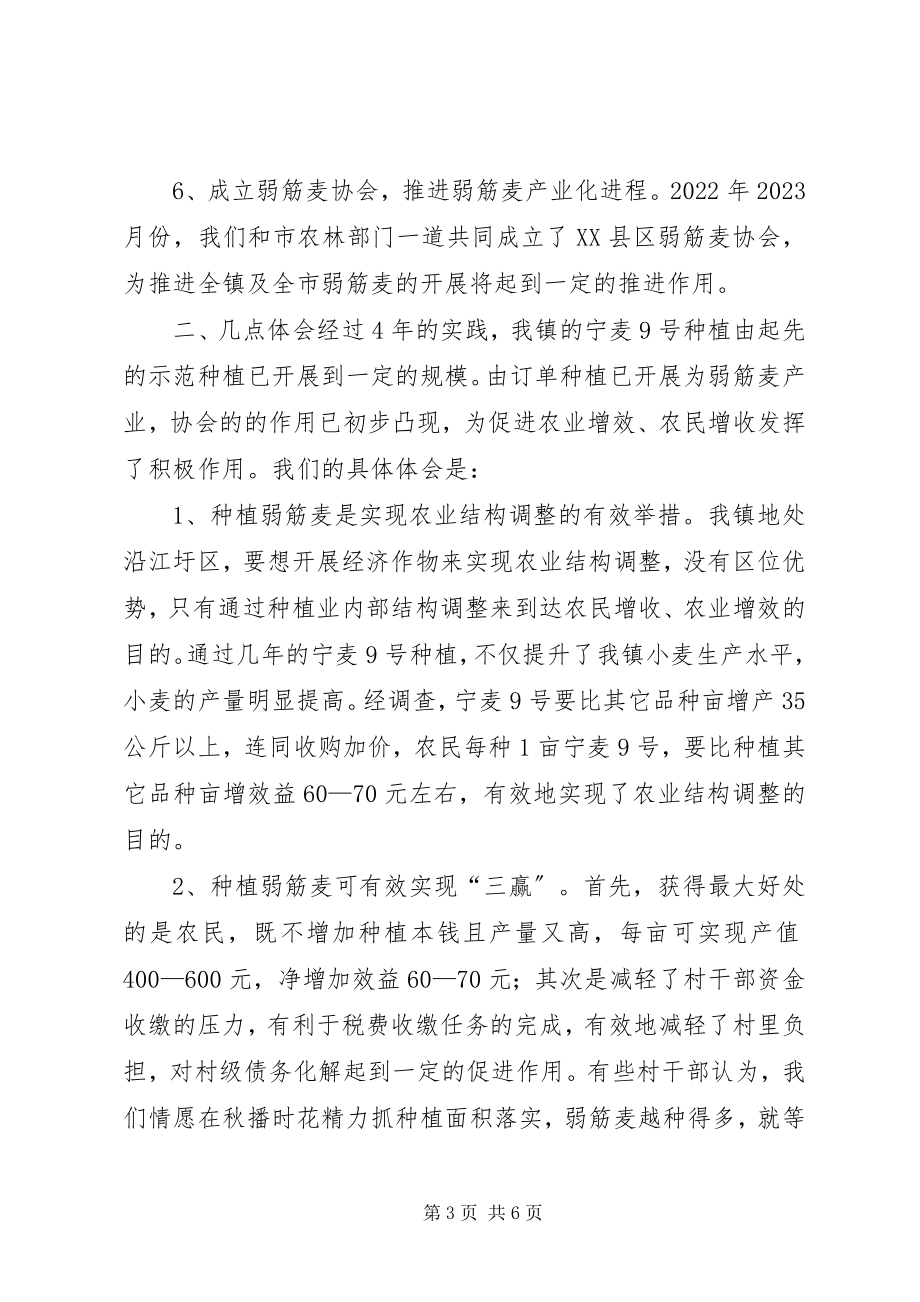 2023年发展弱筋麦产业促进农业增收增效.docx_第3页