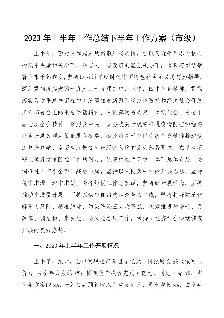 2023年上半年工作总结和下半年工作计划市级精编.docx_第1页