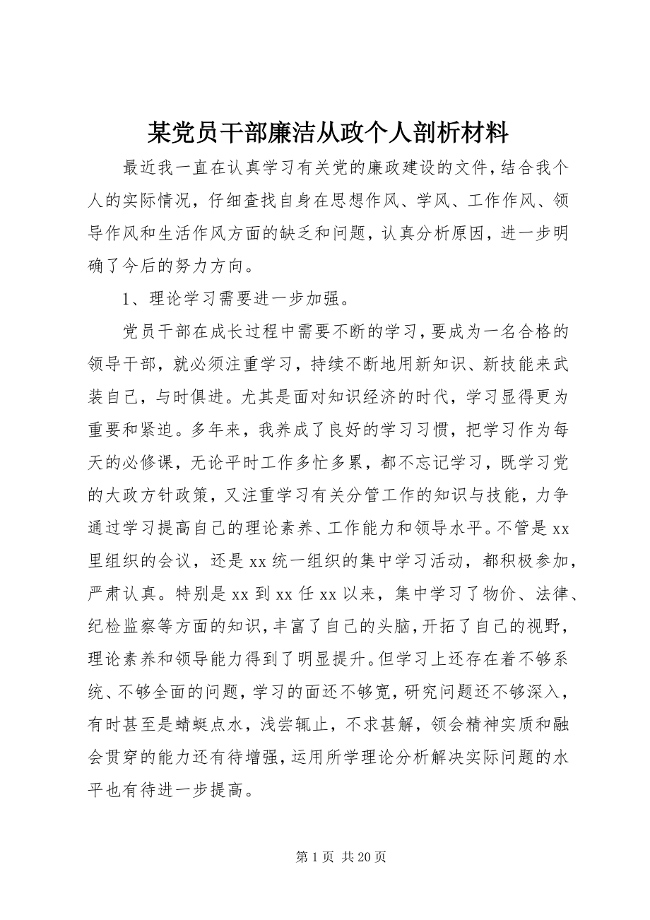 2023年某党员干部廉洁从政个人剖析材料.docx_第1页