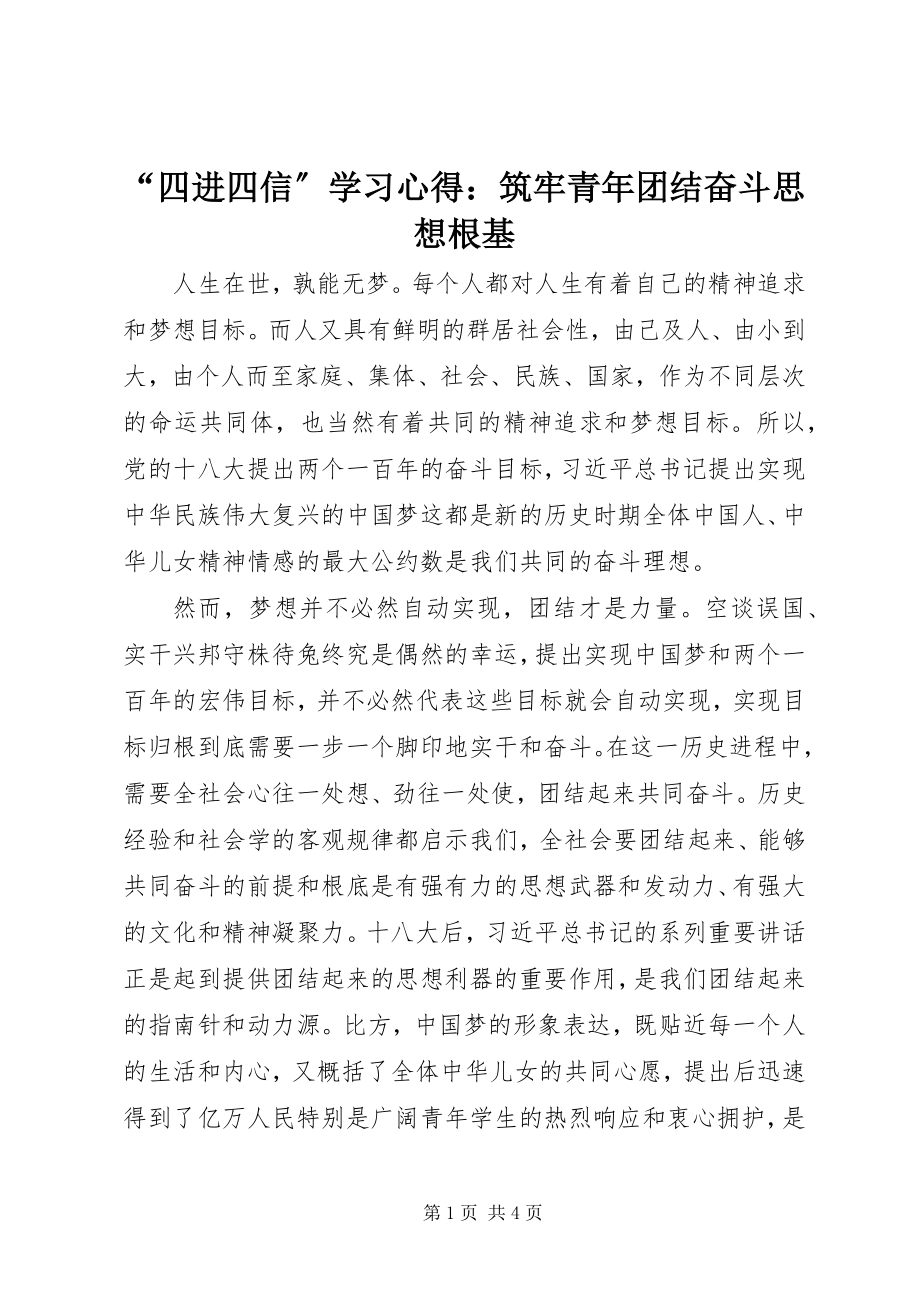 2023年四进四信学习心得筑牢青年团结奋斗思想根基.docx_第1页