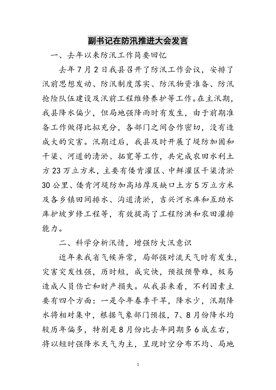 2023年副书记在防汛推进大会发言范文.doc_第1页