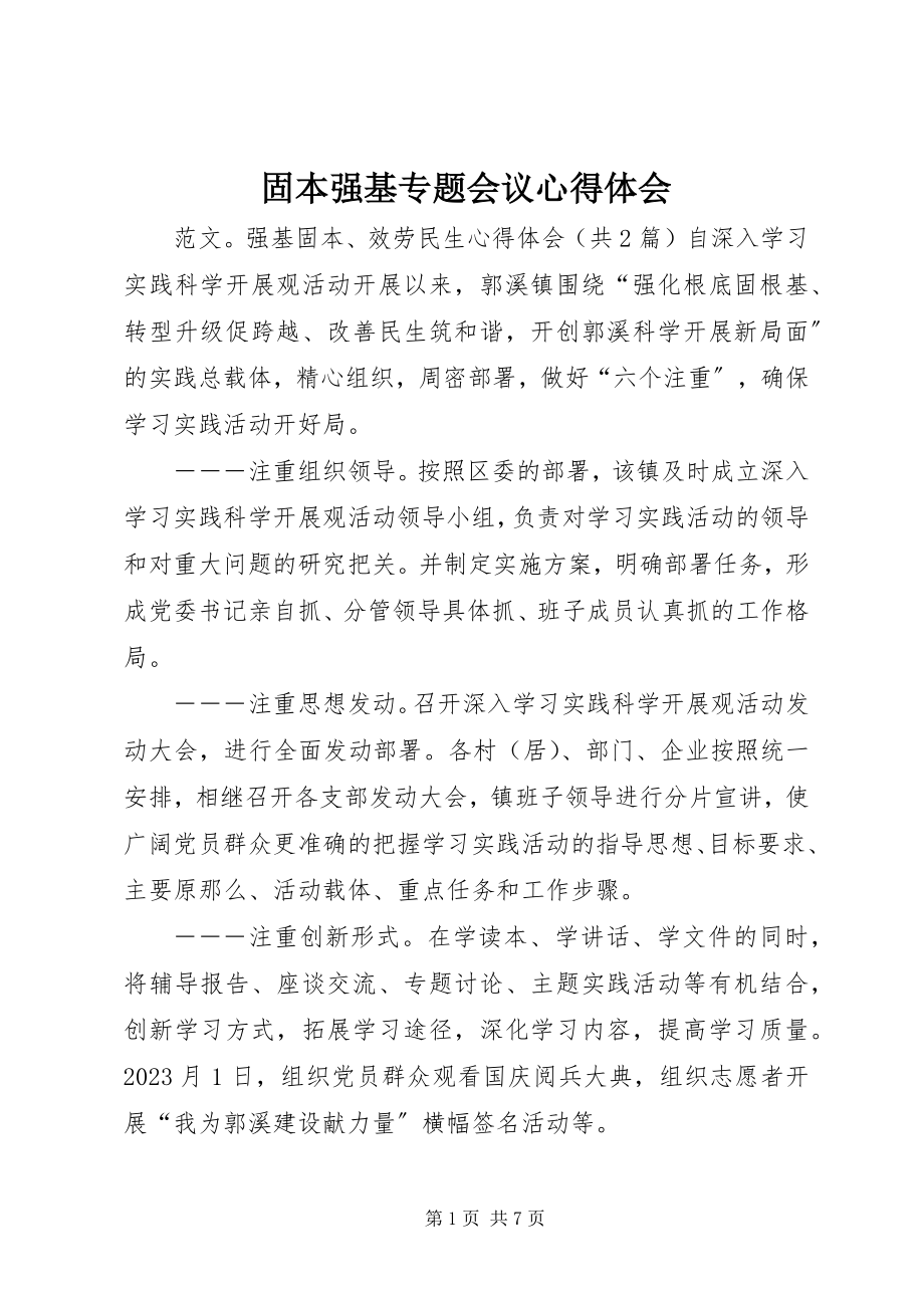 2023年固本强基专题会议心得体会.docx_第1页