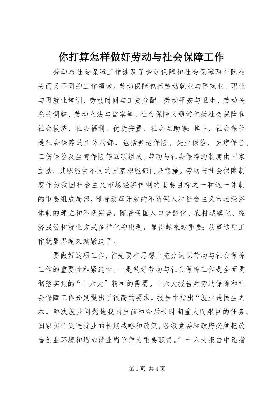 2023年你打算怎样做好劳动与社会保障工作.docx_第1页