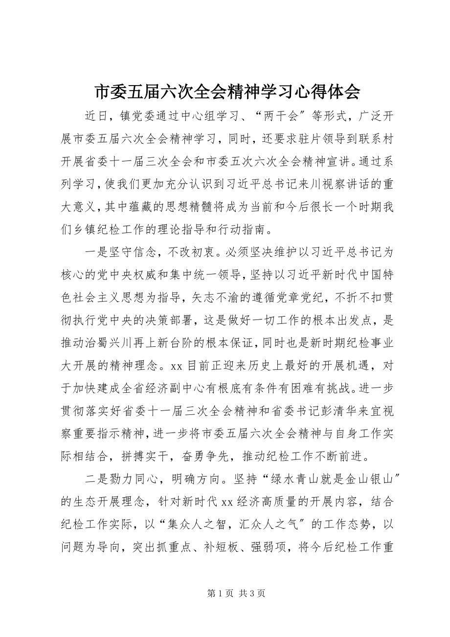 2023年市委五届六次全会精神学习心得体会.docx_第1页