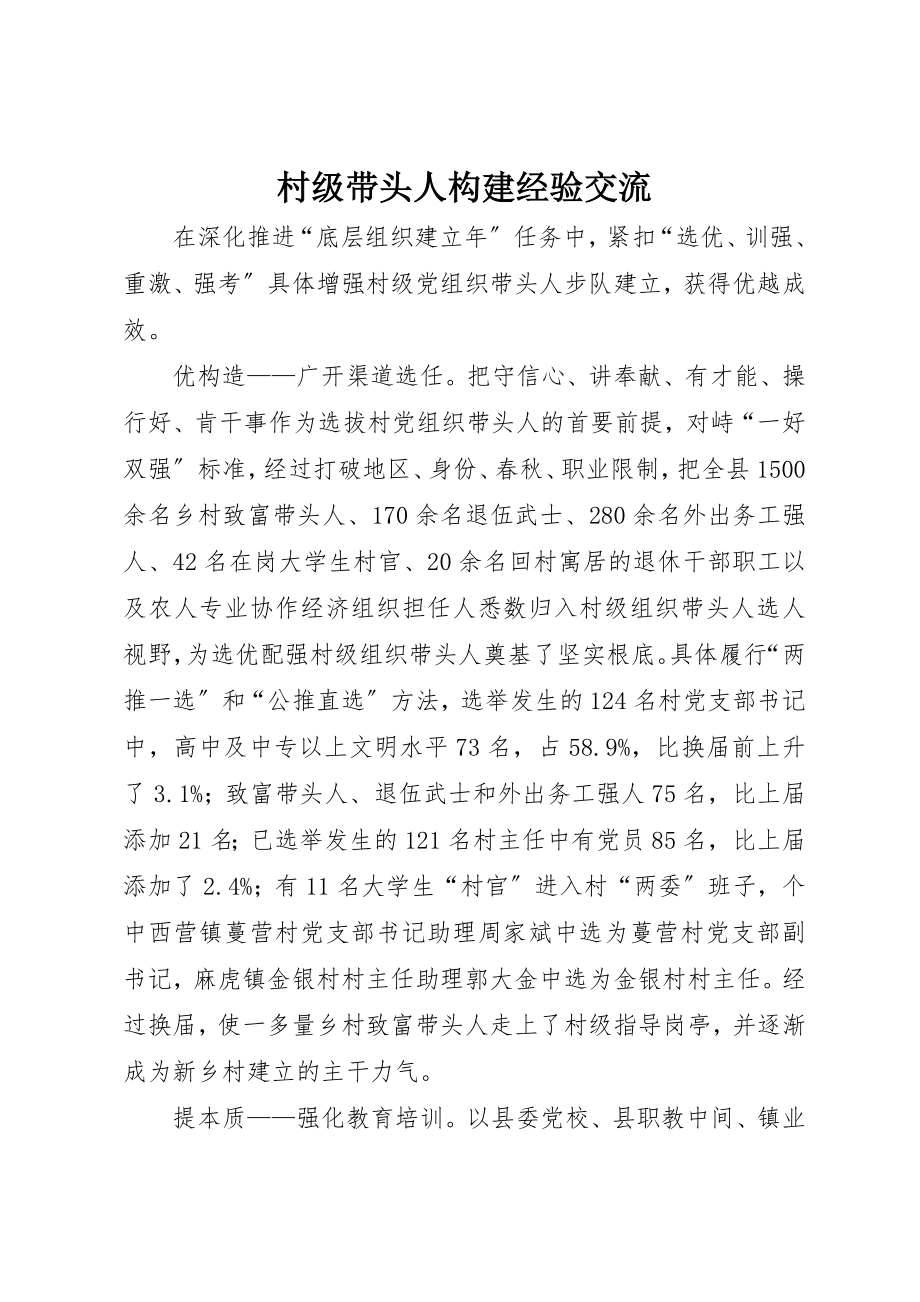 2023年村级带头人构建经验交流新编.docx_第1页