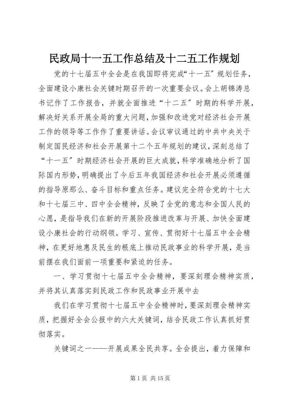 2023年民政局十一五工作总结及十二五工作规划.docx_第1页